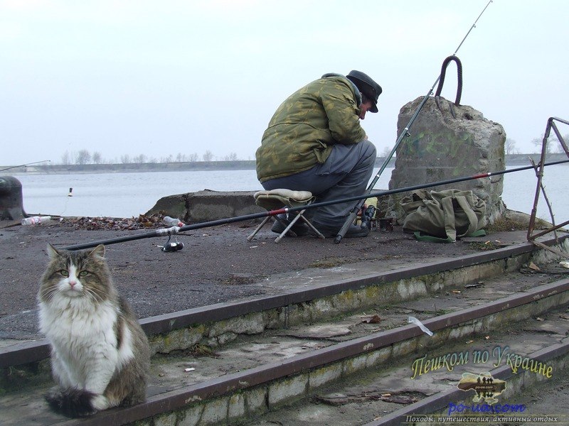 В Крыму можно рыбачить круглый год