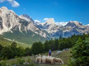 Пойти в Поход в Альпы Албании. Долина Валбоны